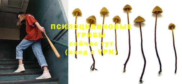 дмт Волосово