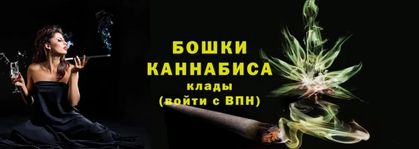 крисы Володарск