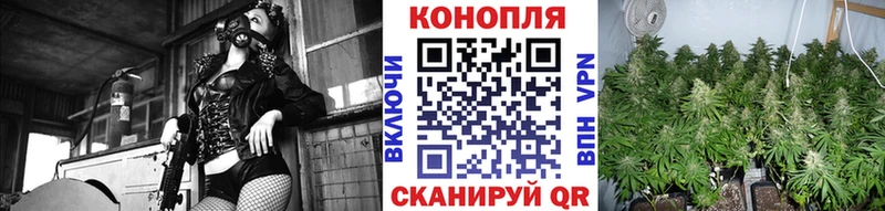 Марихуана планчик  Новохопёрск 